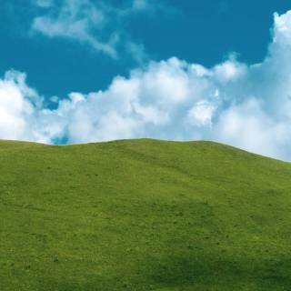 Windows XP wallpaper