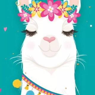 Llama wallpaper