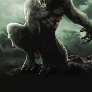 Werewolf wallpaper