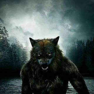 Werewolf wallpaper