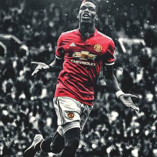 Paul Pogba wallpaper