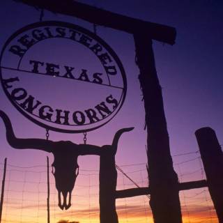 Texas wallpaper