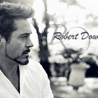 Robert Downey Jr wallpaper