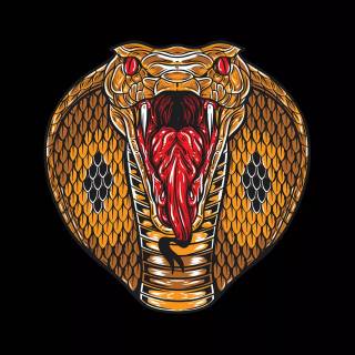 Don't Touch My Phone wallpaper