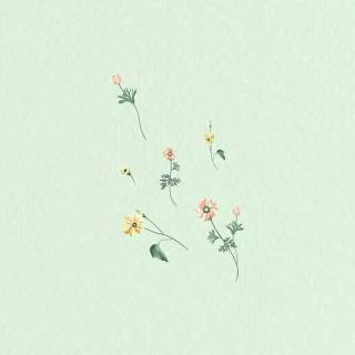 Mint green wallpaper