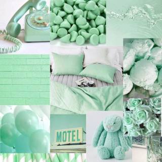 Mint green wallpaper