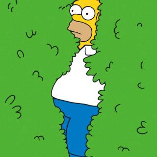 Homer Simpson wallpaper