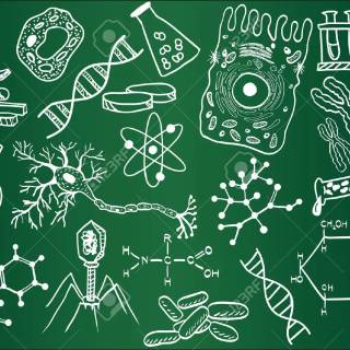Biology wallpaper