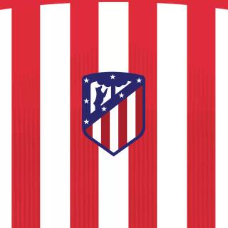 Atletico Madrid wallpaper