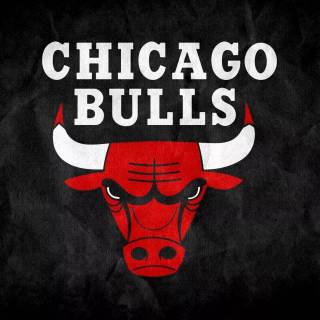 Chicago Bulls wallpaper