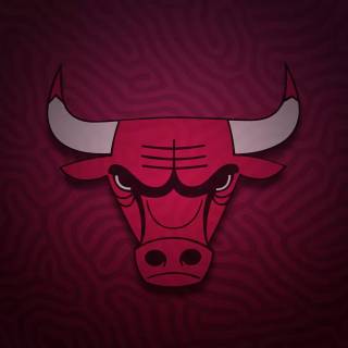 Chicago Bulls wallpaper