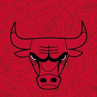 Chicago Bulls wallpaper