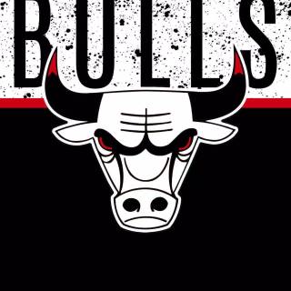 Chicago Bulls wallpaper