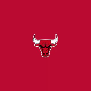 Chicago Bulls wallpaper