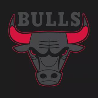 Chicago Bulls wallpaper