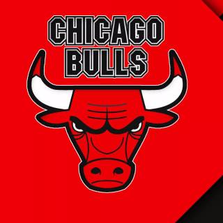 Chicago Bulls wallpaper