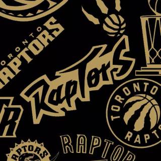 Toronto Raptors wallpaper