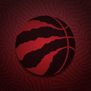 Toronto Raptors wallpaper