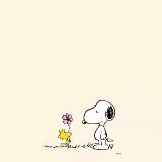 Peanuts wallpaper