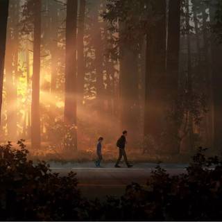 Life Is Strange wallpaper