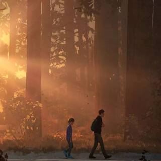 Life Is Strange wallpaper