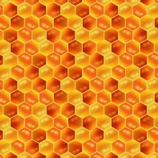 Honey wallpaper