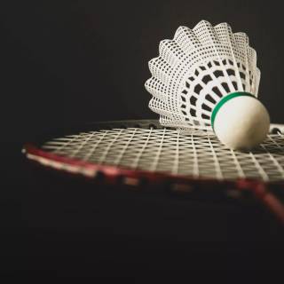 Badminton wallpaper