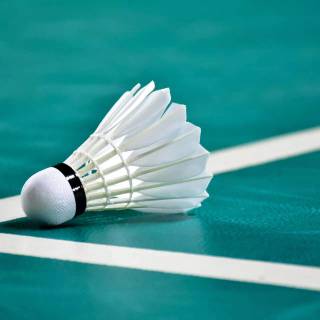 Badminton wallpaper