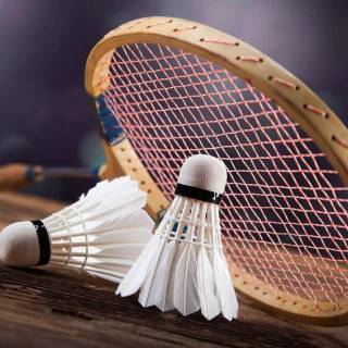 Badminton wallpaper