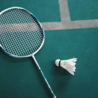 Badminton wallpaper