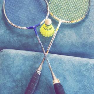 Badminton wallpaper