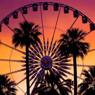 Coachella wallpaper