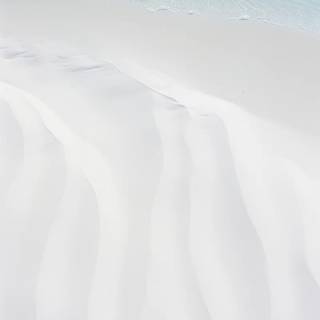 White wallpaper