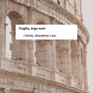 Light academia wallpaper