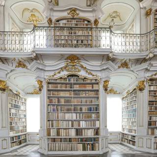 Light academia wallpaper