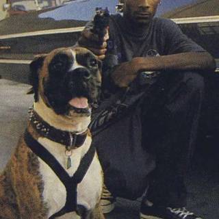 Snoop Dogg wallpaper