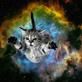 Galaxy kitty wallpaper