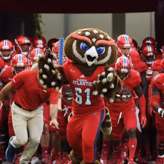 Florida Atlantic Owls football wallpaper