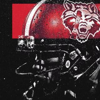 Arkansas State Red Wolves wallpaper