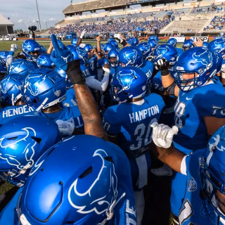 Buffalo Bulls wallpaper