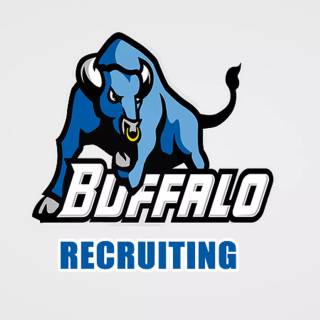 Buffalo Bulls wallpaper