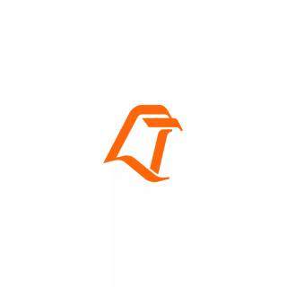 Bowling Green Falcons wallpaper