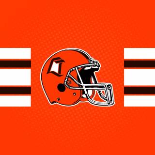 Bowling Green Falcons wallpaper
