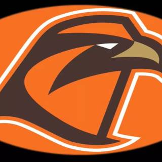 Bowling Green Falcons wallpaper