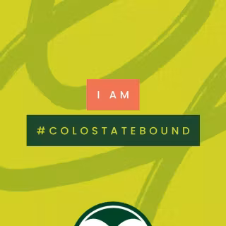 Colorado State Rams wallpaper
