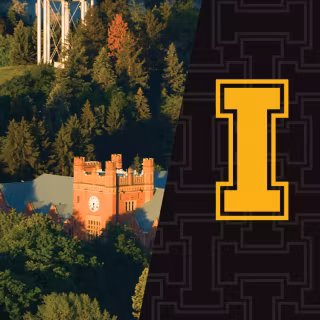 Idaho Vandals wallpaper