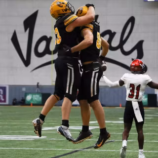 Idaho Vandals wallpaper