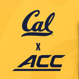 California Golden Bears wallpaper