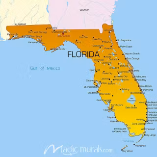 Florida map wallpaper