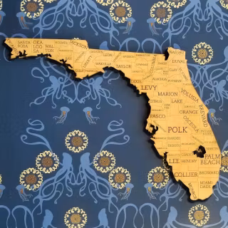 Florida map wallpaper